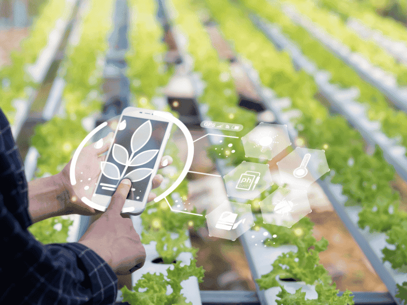 Diploma in Agricultural Technology
