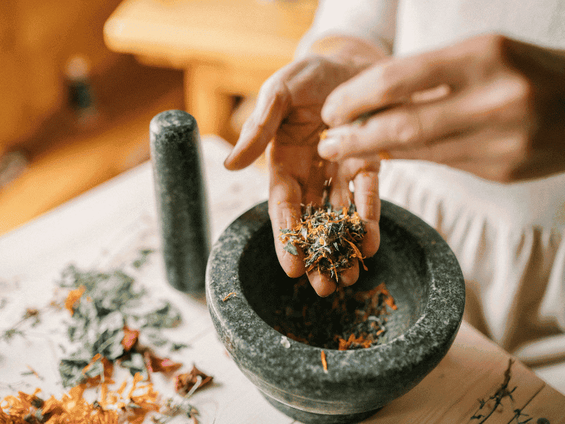 Certificate in Herbal Medicine