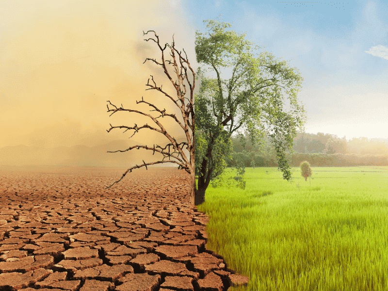 Diploma in Environmental Management