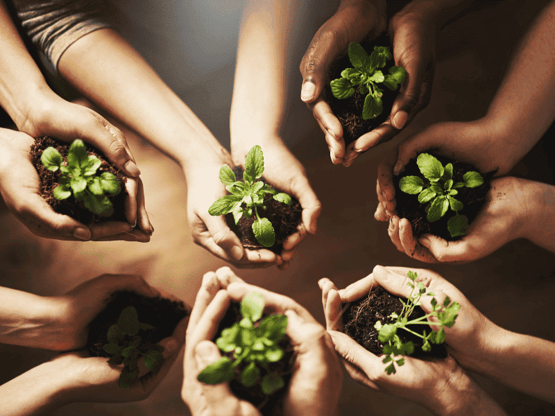Certificate in Sustainable Agriculture