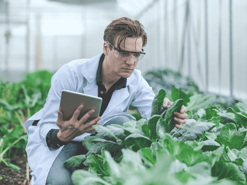 PhD in Environmental Science